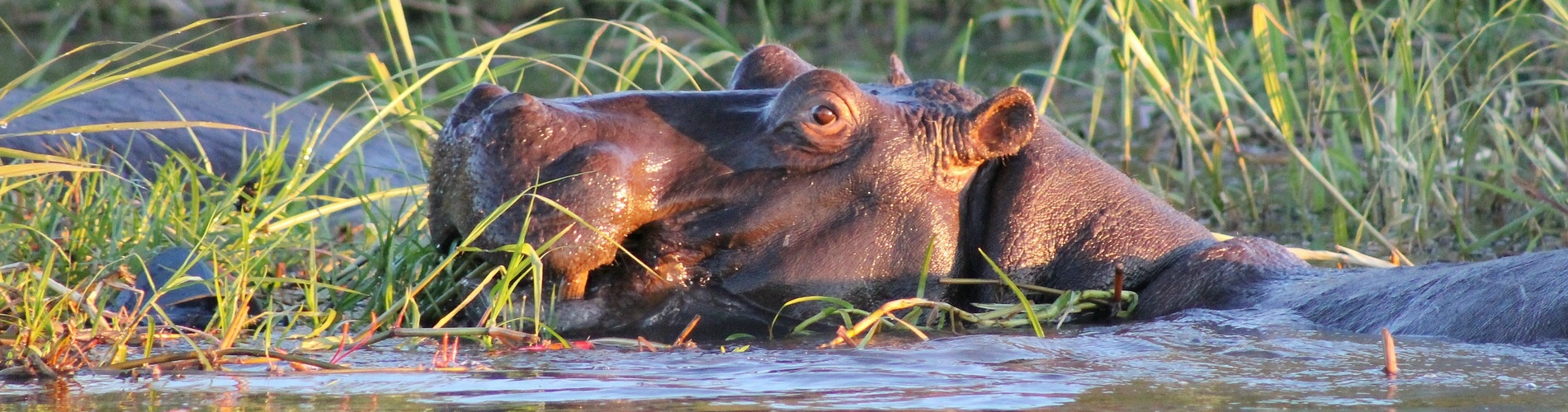 ONTOUR UGANDA